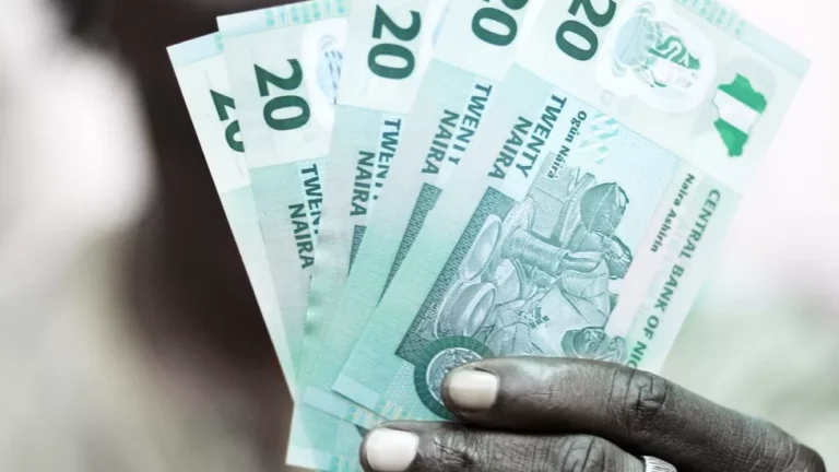 23867182-B08E-4A72-9541-9F97C95187D6